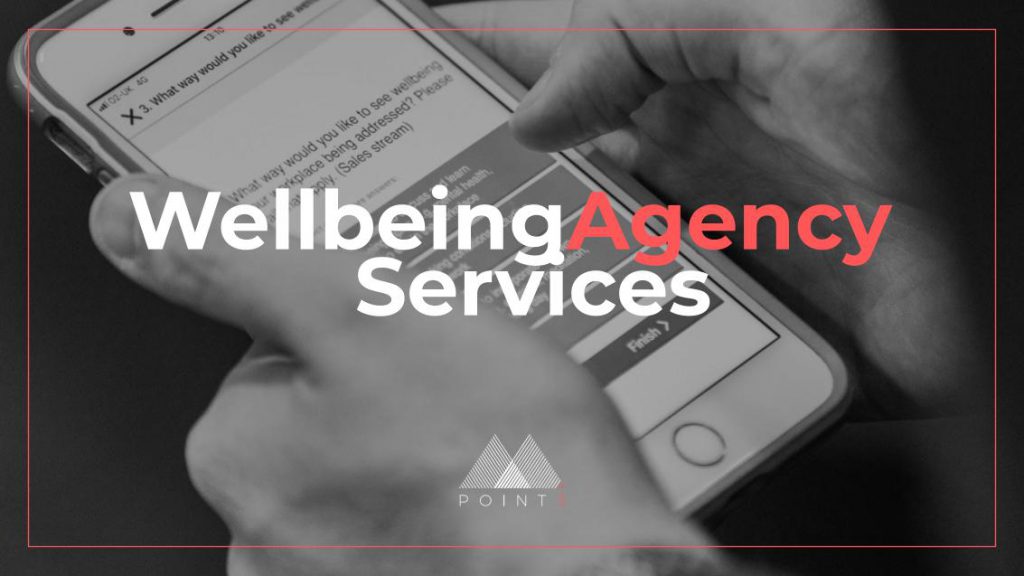 POINT3 Wellbeing agency services